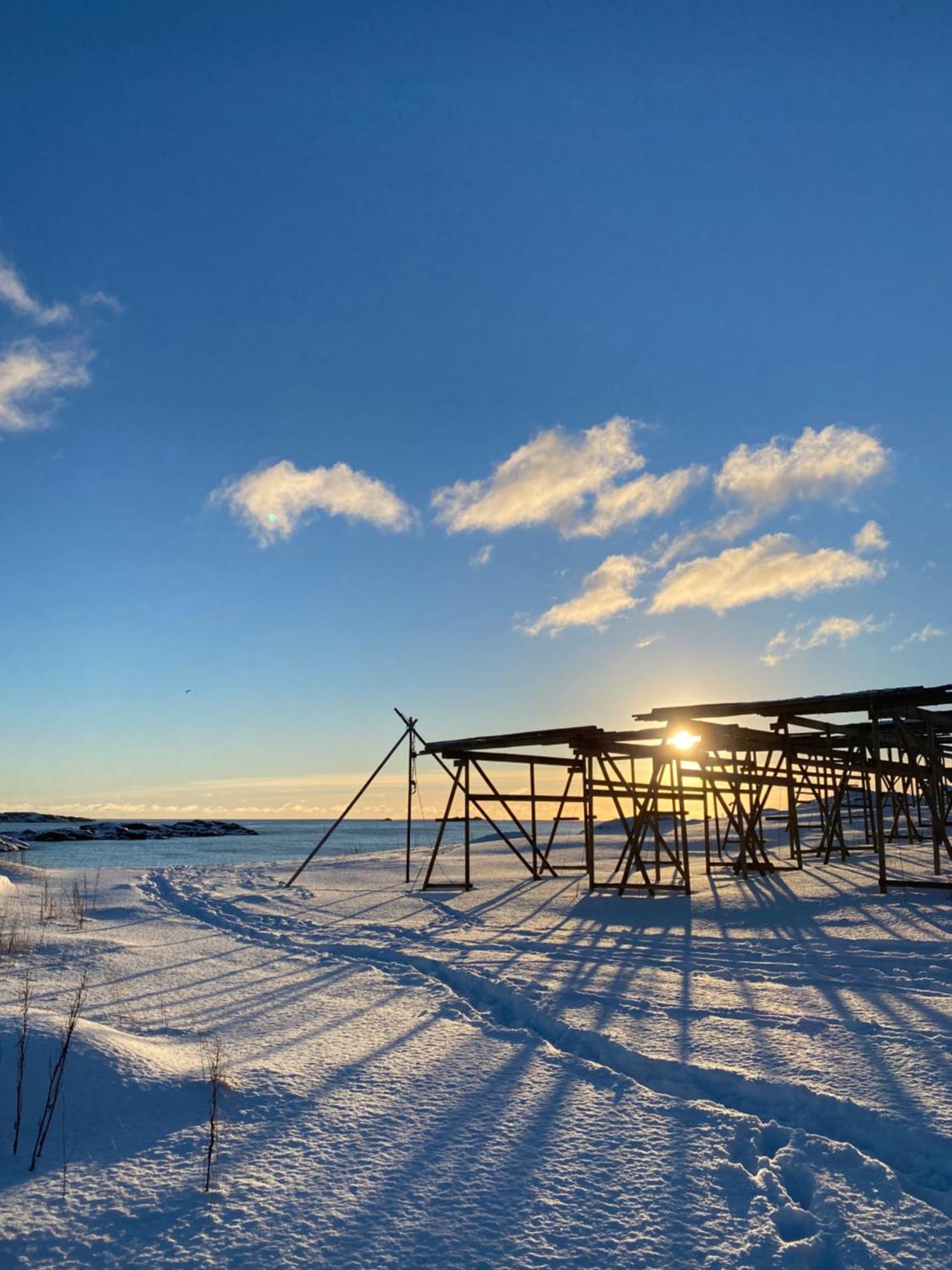 Superior Cabin Ballstad Lofoten Bagian luar foto